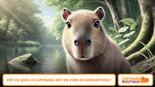 Le capybara est-il en voie de disparition ou dangereux ?