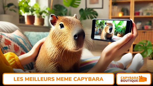 Les Meilleurs Mèmes sur les Capybaras : Pourquoi Ces Adorables Rongeurs Font le Buzz ?