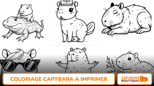 Coloriage Capybara à imprimer