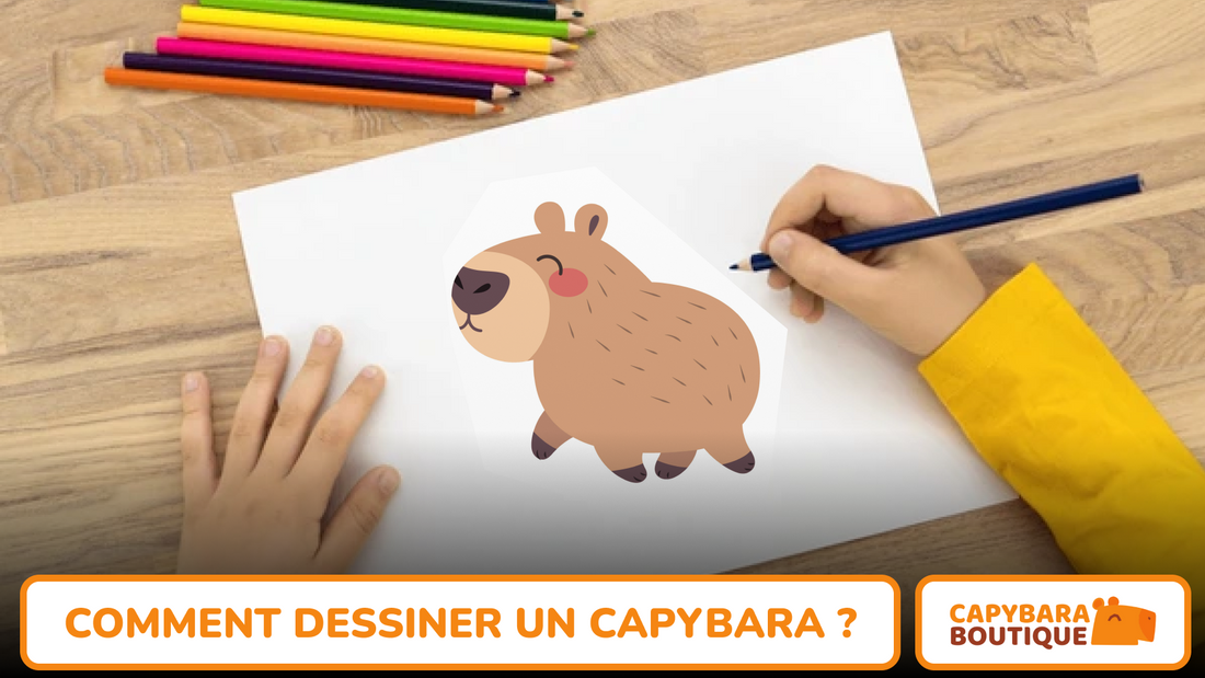 Comment dessiner un capybara ?
