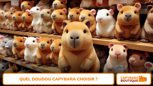 Quel doudou capybara choisir ? (Guide d'achat parmi 5 peluches)